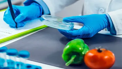 Shelf Life Testing Services in Pune